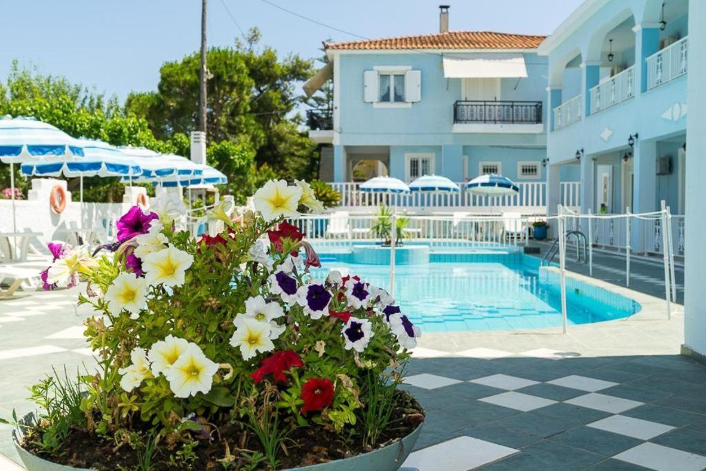 Anna'S Studios & Apartments Ζάκυνθος Πόλη Εξωτερικό φωτογραφία