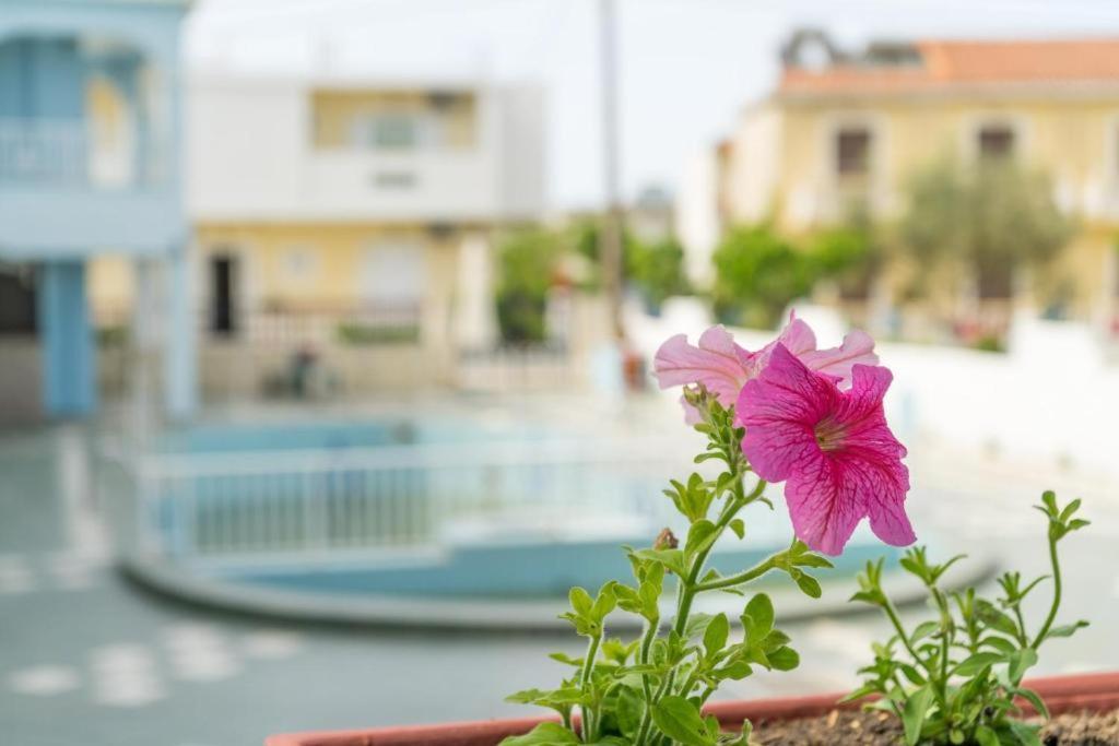 Anna'S Studios & Apartments Ζάκυνθος Πόλη Εξωτερικό φωτογραφία